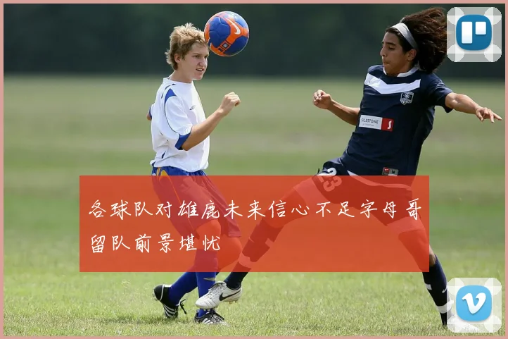 各球队对雄鹿未来信心不足字母哥留队前景堪忧