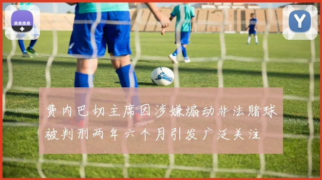 费内巴切主席因涉嫌煽动非法赌球被判刑两年六个月引发广泛关注