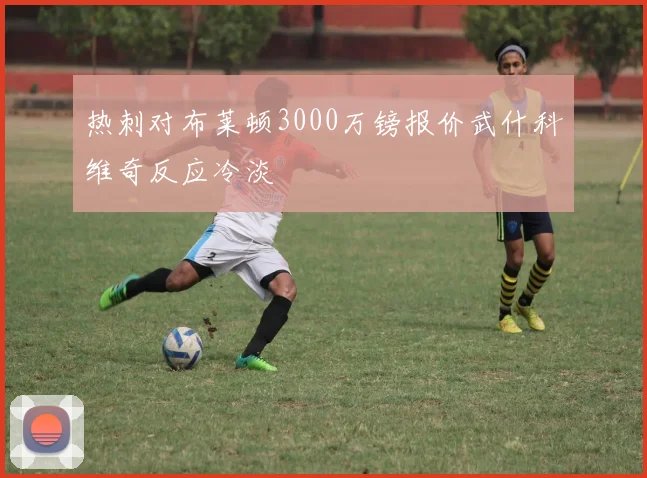 热刺对布莱顿3000万镑报价武什科维奇反应冷淡